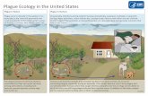 Plague Ecology in the United States - Centers for … · Plague Ecology in the United States Plague in Nature . Plague in Humans ; Plague occurs naturally in the western U.S., ...