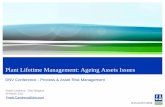 Plant Lifetime Management: Ageing Assets Issues · Plant Lifetime Management: Ageing Assets Issues ... Plant Lifetime Management: Ageing Assets Issues ... to manage the risks and