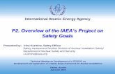 P2. Overview of the IAEA’s Project on - Nucleusnucleus.iaea.org/sites/gsan/act/tmsafetygoals2013/Shared Documents... · P2. Overview of the IAEA’s Project on Safety Goals ...