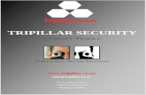 TRIPILLAR SECURITY · Tripillar Security  sales@tripillar.co.za CK No: 2008/113041/23 COIDA No: 30678321970 PSIRA No: 1662990 TRIPILLAR SECURITY COMPANY PROFILE S