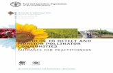 Protocol to detect and monitor pollinator communities ... · Protocol to Detect anD Monitor Pollinator coMMunities Guidance for Practitioners Pollination services For sustainaBle