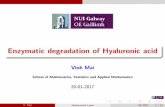 Enzymatic degradation of Hyaluronic acideoghan/GroupPresentations/Vinh-20Jan2017… · Enzymatic degradation of Hyaluronic acid Vinh Mai School of Mathematics, Statistics and Applied