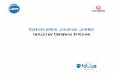 Carborundum Universal Limited Industrial Ceramics … · Raw Mill Coal Mill VRM Mill Body Grit Cone Cone Separators Pipes & Bends Twin Cyclone Storage hoppers ... Loesche Mill –
