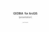 GEOBIA for ArcGIS - Uniwersytet Gdańskiocean.ug.edu.pl/~oceju/CentrumGIS/GEOBIA in ArcGIS.pdf · Geo-processing tools for objects analyses in Model Builder Tool Name Toolbox Description