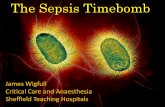 The Sepsis Timebomb - WordPress.com · The Sepsis Timebomb James Wigfull ... Shock to effective antibiotic time and mortality in septic ... Scan to theatre booking F: ...