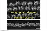 Imaging Introduction - Stanford Universityotolic.stanford.edu/documents/Imaging-Introduction.pdf · Imaging Introduction September 24, 2010 Friday, March 25, 2011. What is a microscope?