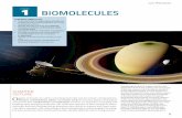 chapter 1 BIOMOLECULES - staticmy.zanichelli.it · chapter 1 Biomolecules BIOMOLECULES Chapter 1 O rganic molecules are carbon containing molecules and are central to living systems.