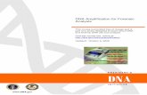 DNA Amplification for Forensic Analysts - … · DNA Amplification for Forensic Analysts This course is provided free of charge and is part of a series designed to teach about DNA