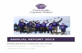 PANREATI ANER A TION - Pancreatic Cancer Action · ANNUAL REPORT 2013 PANREATI ANER A TION ... Independent Examiner’s report to the Trustees of Pancreatic Cancer ... Half of patients