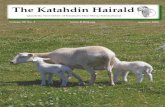 The Katahdin Hairald2)Sum08.pdf · Jill Dougherty of Sunburst.....Catlin, Illinois Richard G, Jr & Becky W Hungerford of 4R Bar Farm ... Spingwater, New York Andrew and Annette Hermann,