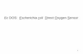Ec DOS: Escherichia coli Direct Oxygen Sensorbiotka.mol.uj.edu.pl/zbm/handouts/2012/TS/Lecture-9_O2... · 2012-10-24 · A distinctive heme-binding domain defines each family of sensors.