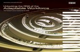 Unlocking the DNA of the Adaptable Workforce - … · financial analysis, previous IBM studies, ... tional role and migrating toward a more strategic ... Unlocking the DNA of the