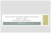 Bay County Community Health Assessment Results – … Assessment/Bay... · Top 10 Leading Causes of Death - 2009 . Leading Causes of Death by Gender Bay County 2009 0 20 40 60 80