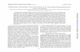 Function of Simian Virus 40 Gene Ain Transforming jvi.asm.org/content/15/3/613.full.pdf · in transformed