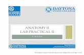 ANATOMY II LAB PRACTICAL II - Daytona State … · The Academic Support Center @ Daytona State College (Science 56 Page 1 of 63) SI REVIEW ANATOMY II LAB PRACTICAL II