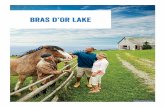 Bras d’Or Lake - novascotia.com · The Bras d’Or Lake region offers outdoor enthusiasts an array of adventures for every ... At a milling frolic, men and women sit around a table,