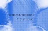 Joints and Articulations - .Joints and Articulations Dr. Gary Mumaugh . Joints (Articulations) ...