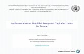 of Simplified Ecosystem Capital Accounts for … · Implementation of Simplified Ecosystem Capital Accounts for Europe Jean‐Louis Weber Adviser to the European Environment Agency