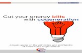 Cut your energy bills with cogeneration - grazer-ea.at challenge/basic_guide.pdf · Cut your energy bills with cogeneration ... business, a service company, ... water, space heating,