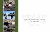 COMPANION DOCUMENT - deepeningcommunity.cadeepeningcommunity.ca/...social_fabric_-_companion_document_1.pdf · Purpose of the Companion Document ... • ^Th eFam ily & Community Support
