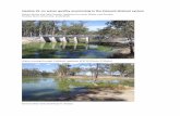 Update #1 on water quality monitoring in the Edward … · Update #1 on water quality monitoring in the Edward-Wakool system ... points to note: The ... and the flow in this system