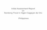 Initial Assessment Report on Sendong Flood in Iligan ...reaaa.vms.my/images/1/1c/DPWH_  · Sendong