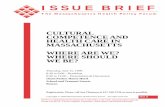 ISSUE BRIEF - Brandeis Universitymasshealthpolicyforum.brandeis.edu/publications/pdfs/05-Jul99/IB... · Issue brief prepared by Jean Lau Chin,Ed.D., ... health care utilization, ...