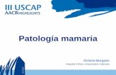 Patología mamaria - seap.esOctavio+Burgués... · Calcificaciones en ADH (Presentes en 82,4% de los casos con ‘upgrade’) Ausencia de calcificaciones en ductos benignos (59,7%)