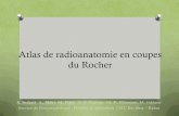 Atlas de radioanatomie en coupe du rocherpe.sfrnet.org/Data/ModuleConsultationPoster/pdf/2011/1/9ba328ef... · Introduction O Complexité de l’anatomie du rocher: plus de 120 structures