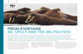 PIKIALASORSUAQ OIL SPILLS AND THE BIG …d2ouvy59p0dg6k.cloudfront.net/downloads/factsheet_lia_spill_en_web.… · OIL SPILLS AND THE BIG POLYNYA. ... consultants working for WWF