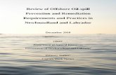 Review of Offshore Oil-spill Prevention and … · Section 2 discusses the history and background of petroleum activities in the Newfoundland and Labrador offshore oil industry. Topics
