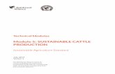 Module 5: SUSTAINABLE CATTLE PRODUCTION · Module 5: SUSTAINABLE CATTLE PRODUCTION Sustainable Agriculture Standard ... 22 Added value for the ... documents and to verify that the