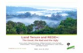 Land Tenure and REDD+ - theredddesk.org · marginalized and/or REDD does not work ... CIFOR Global Comparative Study National-Country profiles-Media analysis-Policy network analysis