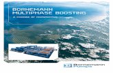 BORNEMANN MULTIPHASE BOOSTING - … · THE BORNEMANN MULTIPHASE dESIGN SELECT - PLUG IN - PUMP OUT With the benefit of almost 20 years proven experience Bornemann offers …
