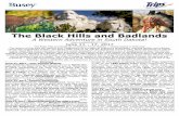 The Black Hills and Badlands - Busey Bank · The Black Hills and Badlands A Western Adventure in South Dakota! June 11 - 17, 2017 The Black Hills and Badlands of Western South Dakota