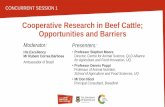 Cooperative Research in Beef Cattle; Opportunities … · Cooperative Research in Beef Cattle; Opportunities and Barriers ... Cooperative Research in Beef Cattle; ... •Heat stress