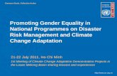 Promoting Gender Equality in National Programmes on ... · Promoting Gender Equality in National Programmes on Disaster Risk Management and Climate Change Adaptation ... television,