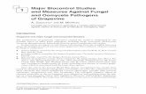 1 Major Biocontrol Studies and Measures against … · and Measures against Fungal and Oomycete Pathogens of Grapevine A. ZAnZotto* And M. Morroni Consiglio per la ricerca in agricoltura