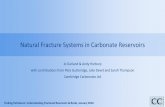 Natural Fracture Systems in Carbonate Reservoirs38559b81a8bdc9f7a43e-61cdd80dc1a7a416127c70ccd69fa98c.r12.cf1... · Natural Fracture Systems in Carbonate Reservoirs Jo Garland & Andy