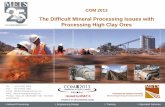 The Difficult Mineral Processing Issues with Processing ... · > Mineral Processing > RESOURCE PROJECTS > TECHNOLOGY > INTEGR > Engineering Design > Training > Specialist ServicesATED
