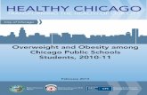 HEALTHY CHICAGO: TRANSFORMING THE HEALTH OF OUR CITY ... · HEALTHY CHICAGO: TRANSFORMING THE HEALTH OF OUR CITY 1 City ... most comprehensive description ever available of how the