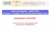 Abdallah HAYAR · Abdallah HAYAR. Updated Tentative Schedule for Neuronal Signals (NBDS 5161) ... 12 Steele, James S JSSTEELE@uams.edu Possible auditor College of Medicine Medical