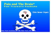 Pain and The Brain* - .Post Traumatic Headache (PTHA) HA - one of the most common somatic complaints