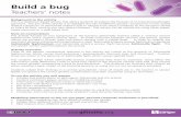 Build a bug - yourgenome · Build a bug animation. This can be used to introduce the final stage of the activity before switching to the animation. Discussion point ... Run the animation