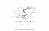 MASSACHUSETTS BUTTERFLIES FEB. - naba.org Butterflie… · "Massachusetts Butterflies" is ptlblislled by the Massachusetts Butterfly Clnb, ... Cape Ann DS/CT Charlton RH Newbury RF