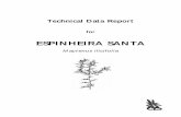 ESPINHEIRA SANTA - Wealth of the Rainforest - … · extract of espinheira santa leaves was as ef fective as two of the leading antiulcer drugs, ... found in espinheira santa as a