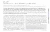 Identification of a Novel RNA Virus Lethal to Tilapiajcm.asm.org/content/52/12/4137.full.pdf · Identiﬁcation of a Novel RNA Virus Lethal to Tilapia Marina Eyngor,a Rachel Zamostiano,