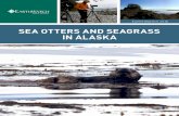 SEA OTTERS AND SEAGRASS IN ALASKA - …earthwatch.org/...earthwatch-sea-otters-and-seagrass-alaska-2018.pdf · • Review the packing list to make sure you have all the ... SEA OTTERS