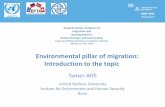 Environmental pillar of migration: Introduction to the .of environmental degradation Environmental
