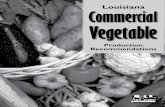 Louisiana Commercial Vegetable - LSU AgCenter · 4 Artichokes Botanical Family: Asteraceae (Sunflower Family) Number of Seeds/Pound: 10,000 to 11,000 (625 to 685/ounce) Plants/Acre: